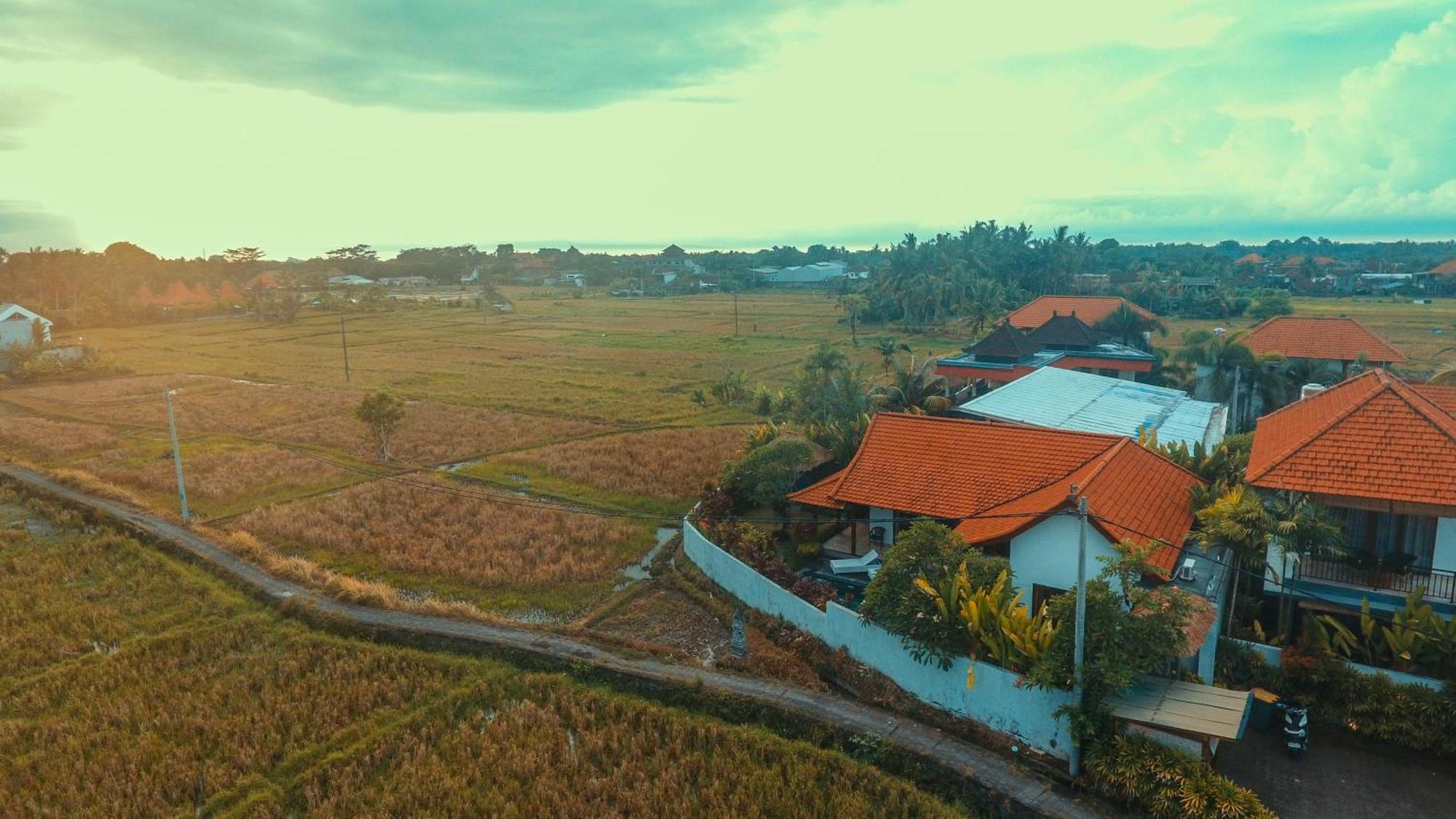 Villa Maya Ubud, Peaceful Rice Field View 外观 照片