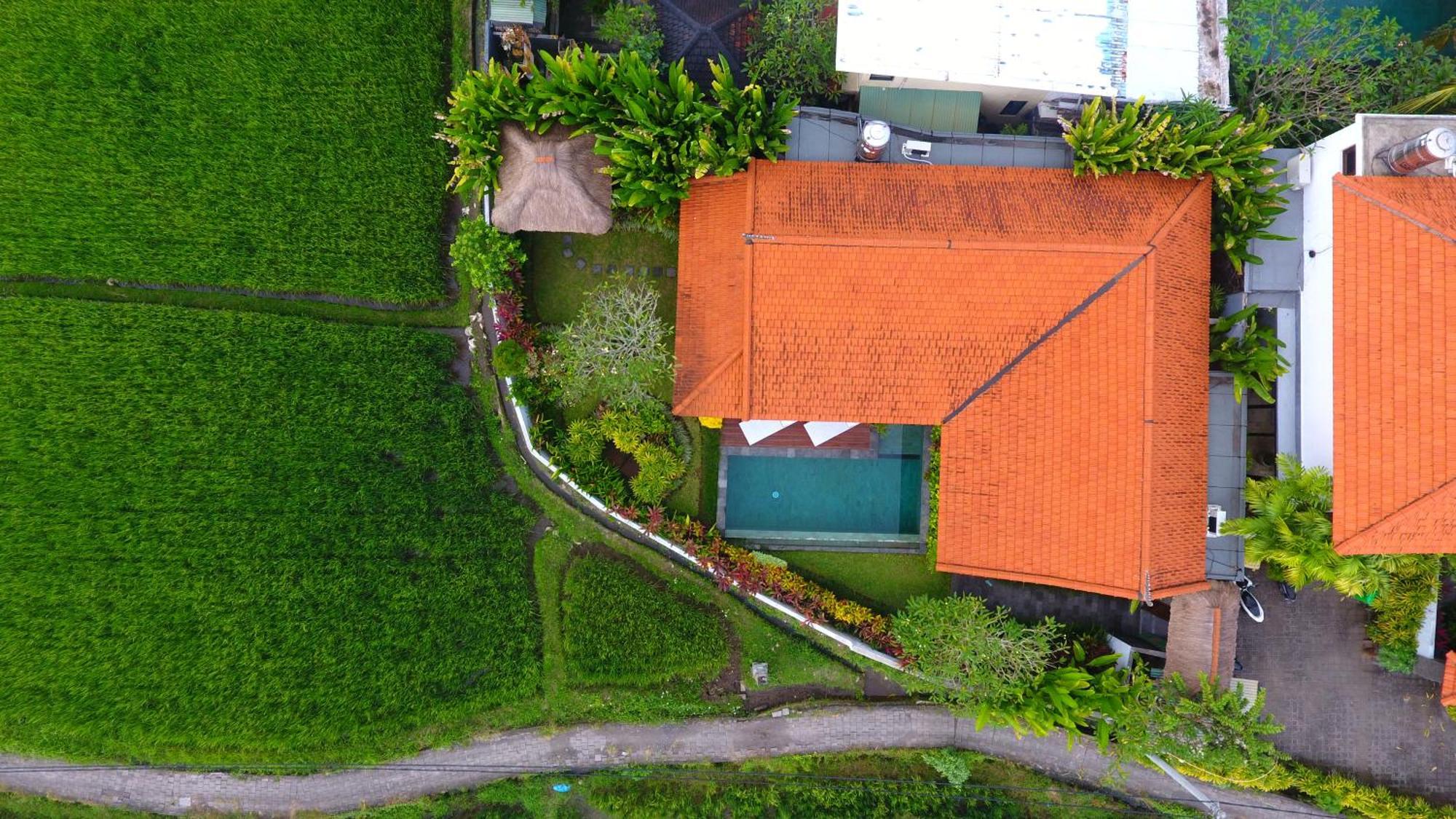 Villa Maya Ubud, Peaceful Rice Field View 外观 照片