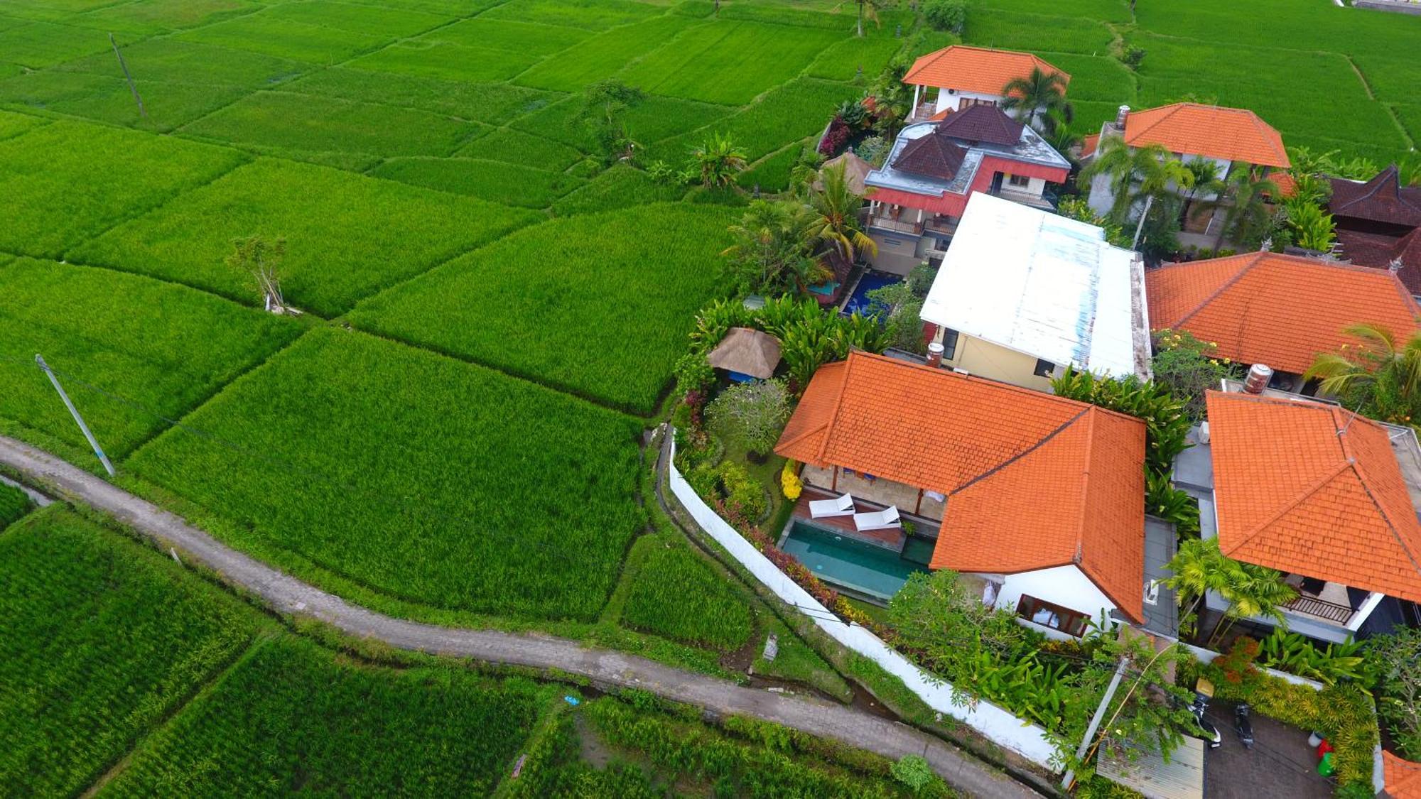 Villa Maya Ubud, Peaceful Rice Field View 外观 照片
