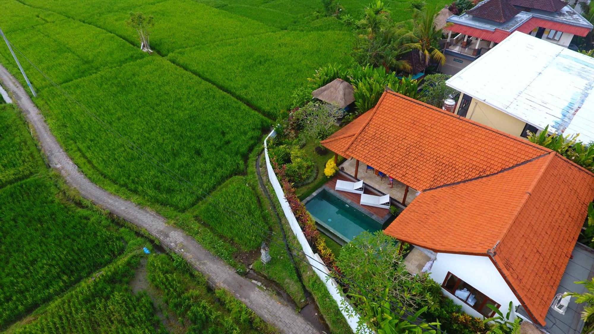 Villa Maya Ubud, Peaceful Rice Field View 外观 照片